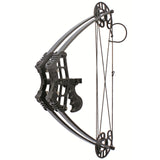 M109 50 LBS Triangle Hunting Compound Bow