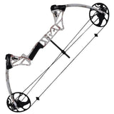 Compound Bow