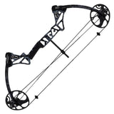 Compound Bow